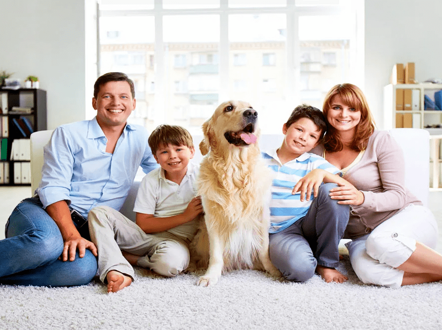 собака для семьи с детьми в квартире