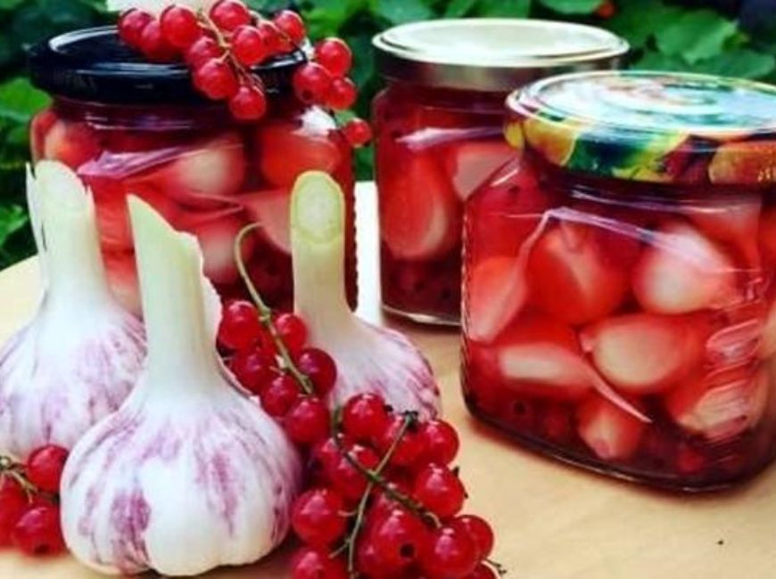 Рецепт маринованного чеснока с ягодами черной или красной смородины
